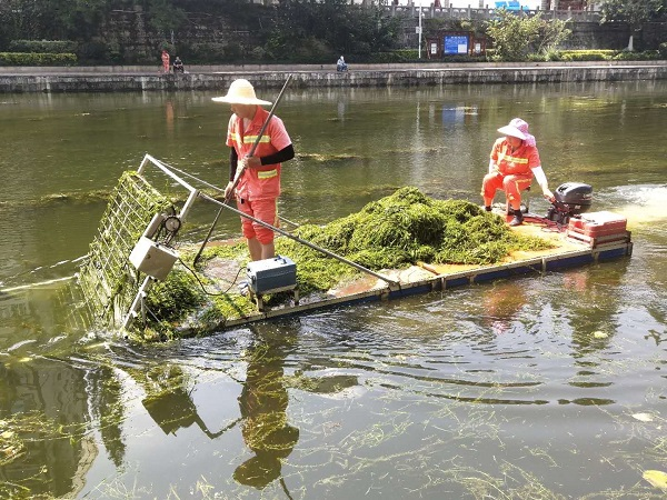 河道绿植管理养护的服务范围 河道绿植管理养护的服务范围