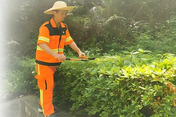 城市绿化草坪除杂草 城市绿化草坪除杂草